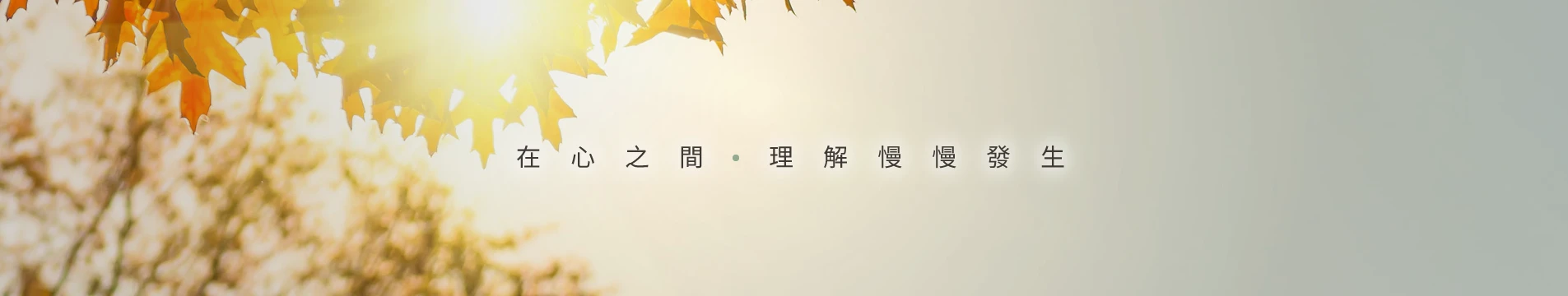 inbanner.webp